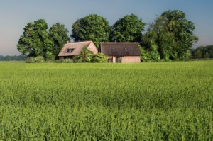 Vakantiehuisje van de Wilmsboo